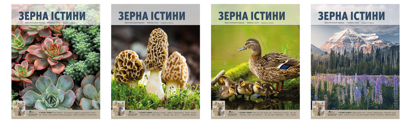 Головний, журнал