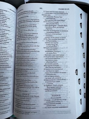 Українсько-англійська паралельна Біблія, 95500